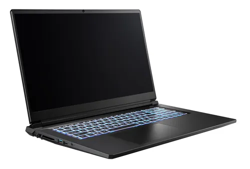 Entry Gaming I10-1119GE|i7 13620H|32GB DDR5|NVIDIA RTX 5060|1 TB|17,3