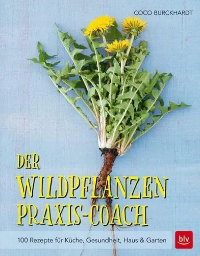 Der Wildpflanzen Praxis-Coach von Coco Burckhardt (2016, Gebundene Ausgabe)