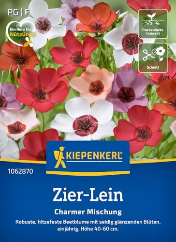 Kiepenkerl Zier-Leinsamen Charmer Mischung 1062870 – Das perfekte Saatgut mit robusten hitzefesten Beetblumen mit seidig glänzenden Blüten. - Blumensamen Mischung