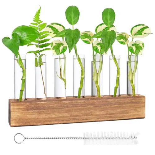 Nizirioo Reagenzglas Vase, Blumenvase Kleine Vasen Glas Reagenzgläser Modern Glasvase Mit Holzständer Reinigungsbürste Glas Pflanzer Für Blumen, Für Hydrokultur Pflanzen Home Office Decor(8 Rohr)
