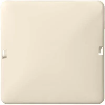 Elso 503010 Blindabdeckung rastbar 1-fach 80x80, Renovierung, perlweiß