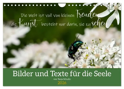Tanja Schultz Fotografie | Bilder und Texte für die Seele (Wandkalender 2026...