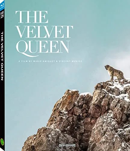 The Velvet Queen