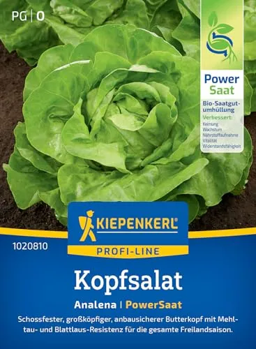 Kiepenkerl Profi-Line Kopfsalatsamen Analena 1020810 - Schossfeste und anbausichere Butterkopf-Salatsamen, ideal für die gesamte Freilandsaison