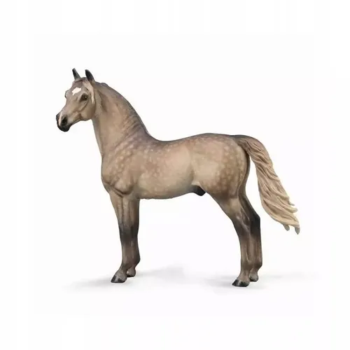 Ogier Morgan maści Silver Grulla Collecta 4892900889795