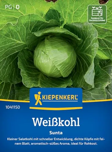 Kiepenkerl Weißkohlsamen Sunta 1041150 - kleiner Salatkohl - schnelle Entwicklung - dichte Köpfe - aromatisch- süß - Samen Gemüse, Saatgut, Gemüsepflanzen