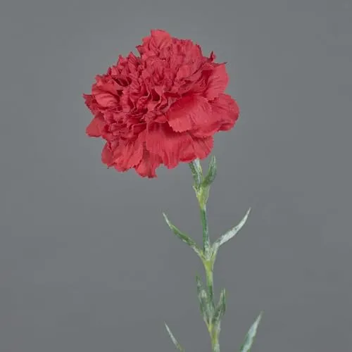artplants.de Künstliche Nelke NIRUSHA, rot, 65cm - Kunst Nelken