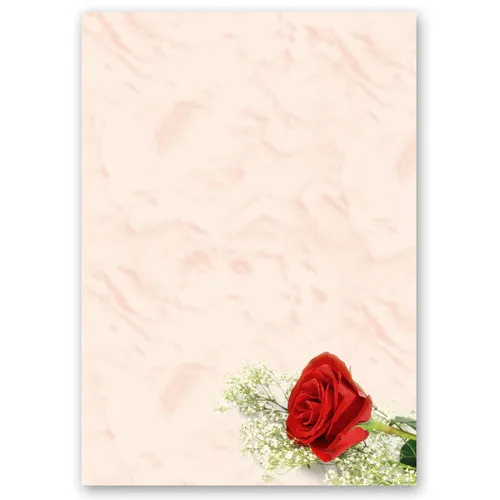 Motiv-Briefpapier ROTE ROSE - DIN A4 Format 50 Blatt