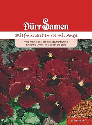 Dürr-Samen - Stiefmütterchen Rot mit Auge zweijährig 20 cm Saatgut