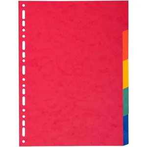 Exacompta Register 2105E, A4 Überbreite, blanko, Karton, 5-teilig, vollfarbig