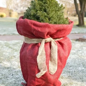 Videx-Winterschutz Jutesack 110 x 60 cm - Hochwertiger Abdeckplanen in rot aus natürlichem Material, idealer Winterschutz für Pflanzen und Gartenaccessoires.