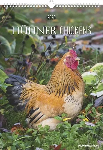 Alpha Edition in silber von ALPHA EDITION