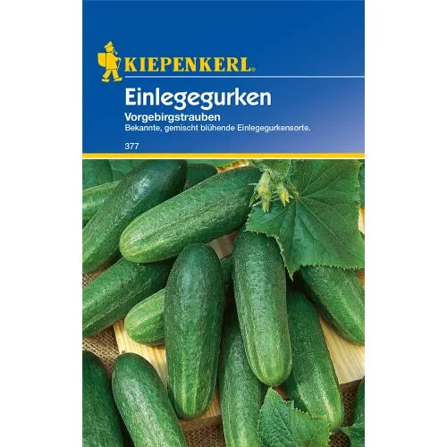 Einlegegurke 