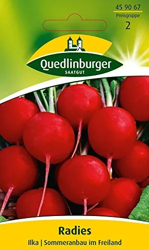 Radieschensamen - Radies Ilka von Quedlinburger Saatgut