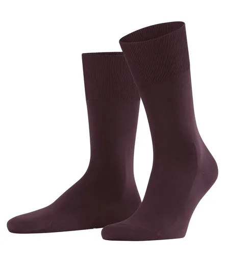 Socken Lila von FALKE