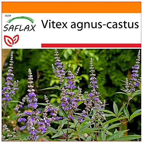 SAFLAX - Garden in the Bag - Heilpflanzen - Mönchspfeffer - 30 Samen - Mit Anzuchtsubstrat im praktischen, selbst aufstellenden Beutel - Vitex agnus-castus