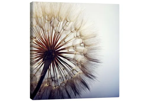 Posterlounge Poster Editors Choice, Große Pusteblume, Schlafzimmer Fotografie