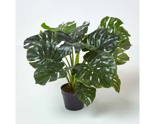Kunstbaum Monstera Kunstpflanze im Topf - 60 cm - Kunstbaum Monstera, 60 cm hoch, mit lebensechten Blättern in einem schlichten Topf. Ideal für ein grünes Ambiente ohne Pflegeaufwand, perfekt für jeden Raum!