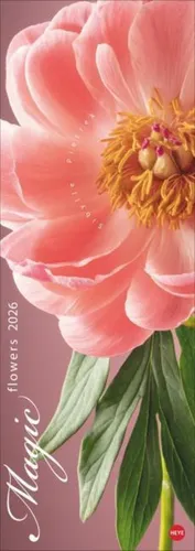 Magic Flowers Vertical Kalender 2026 - Fotografie - Langer Wandkalender mit beeindruckenden Blumen-Fotos, ideal für ein farbenfrohes Ambiente in Ihrem Zuhause. Maße: 25 x 69 cm.