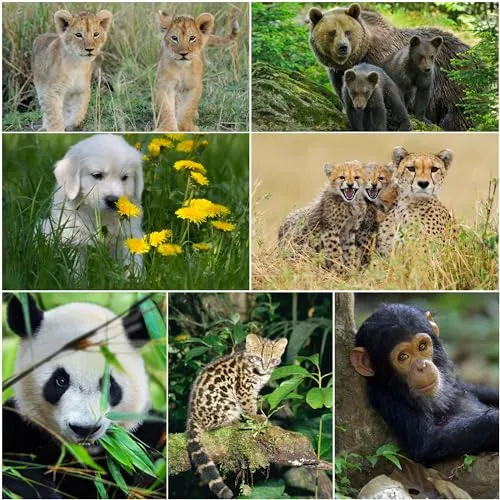 Edition Colibri 3D-Postkarten-Set mit Tierpostkarten als Mitgebsel für Kindergeburtstage; 7 verschiedene Lentikular-Postkarten mit TIER-BABIES