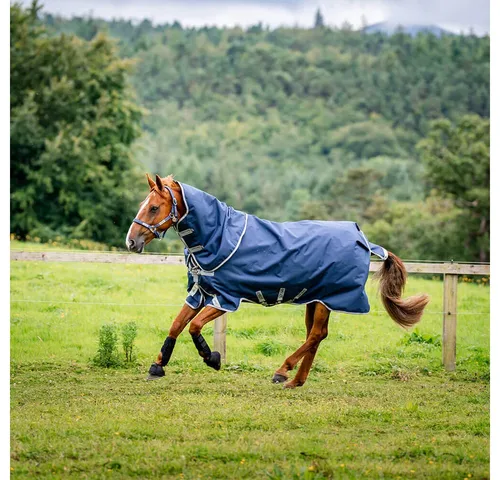 Horseware Amigo Outdoordecke 1200D Plus Turnout 50g - Regendecken für Pferde mit 1200D Polyester, wasserdicht und atmungsaktiv. Flexibles abnehmbares Halsteil und optimale Bewegungsfreiheit durch spezielle Beinausschnitte.