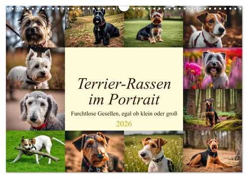 Terrier-Rassen im Portrait 2026 - Wandkalender von Claudia Kleemann - Kalender mit 14 Seiten, präsentiert furchtlose Terrier-Rassen in beeindruckenden Bildern. Ideal für Tierliebhaber und Zoologie-Interessierte!