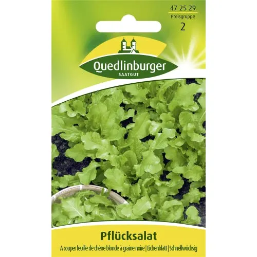 Pflücksalat 'A couper feuille de chên' Salatsamen Quedlinburger