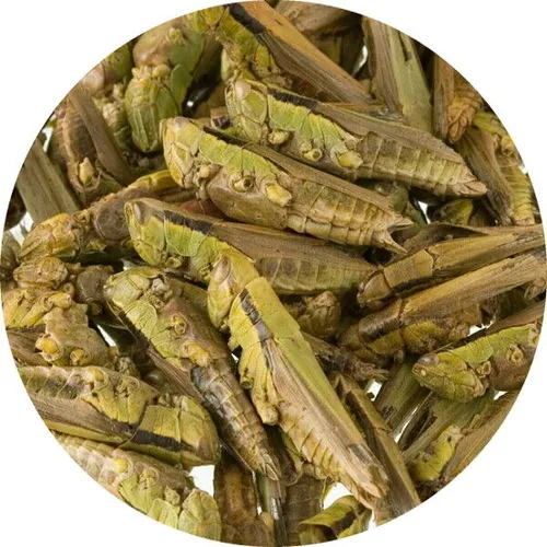 Fischfutter Reptilienfutter GRASHÜPFER-HEUSCHRECKEN Vogel Koifutter 250 ml