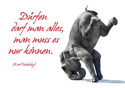 DenkARTen - Postkarte im Format 15 x 10cm - Sprüche - Fotokarten - Dürfen darf m