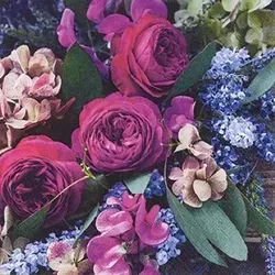 Home Fashion®, Rich Flowers, Lunch-Servietten aufgefaltetes Maß 33 cm x 33 cm, im Viertelfalz, 20 Stück pro Pack