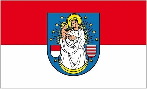 Flagge / Fahne Querfurt Hissflagge 90 x 150 cm