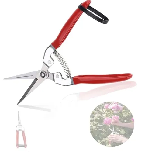 Pflanzenschere & Gartenschere Kleine Gerade Schere - Ernteschere, Astschere, Obstbaum für Garten Bonsai Pflanzen Blumen Rosen Blumenstrauß Zweige Ernte Obst und Gemüse Früchte Grow Zubehör(Gerade)