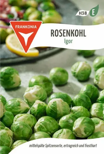 FRANKONIA Gemüsesamen Rosenkohl, Igor - frosthart ertragreich mittelspät, Wintergemüse, Brassica oleracea