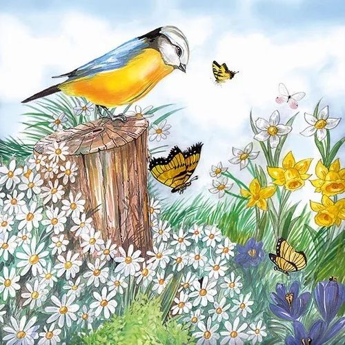 Servietten Bird Watching Vogel Frühling Schmetterling Blumen Tischdeko 33x33c 20