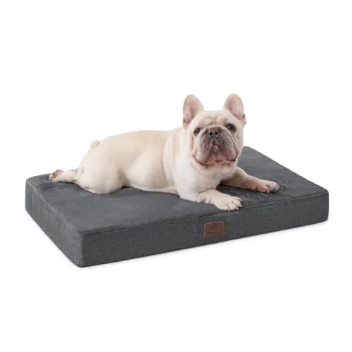 BEDSURE Orthopädisches Hundekissen für mittelgroße Hunde