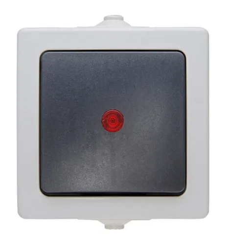 Kopp Nautic Kontrollschalter, Aufputz, für Feuchtraum, 250V (10A), IP44,grau