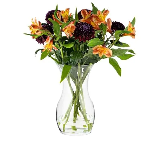 TREND FOR HOME Blumenvase 25 cm Vase für Tulpen, Glasvase für Blumen, Tischvase Dekovase Klarglasvase Deko für Wohnzimmer | ⌀ 14 cm | 2410 ml | Lily