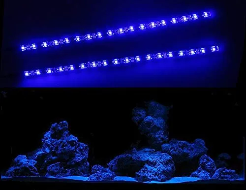 CREATIVE LIGHTS