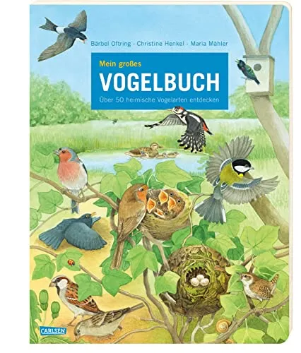 Mein großes Vogelbuch: Großformatiges Pappbilderbuch für Kinder ab 3 Jahren mit über 50 heimischen Vögeln