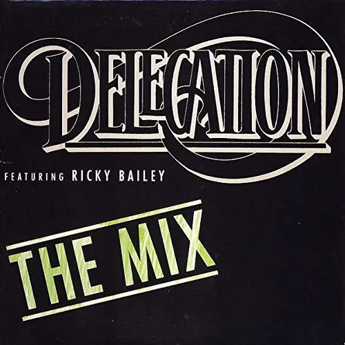 The Mix (Single Version)
