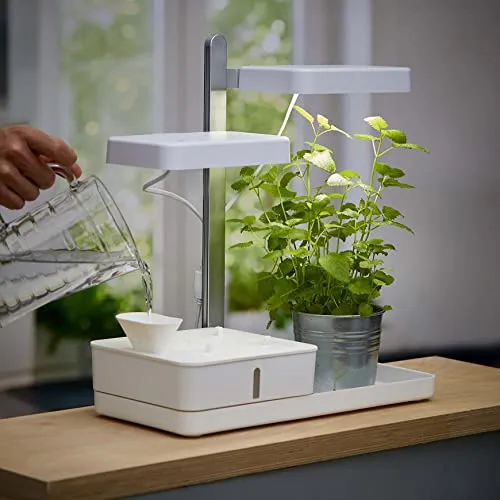 Northpoint LED Pflanzenlampe 30W mit Timerfunktion - Pflanzenlampen für den Innengarten, ideal zur ganzjährigen Aufzucht von Kräutern dank Vollspektrum Licht und individuell einstellbarer Beleuchtung.