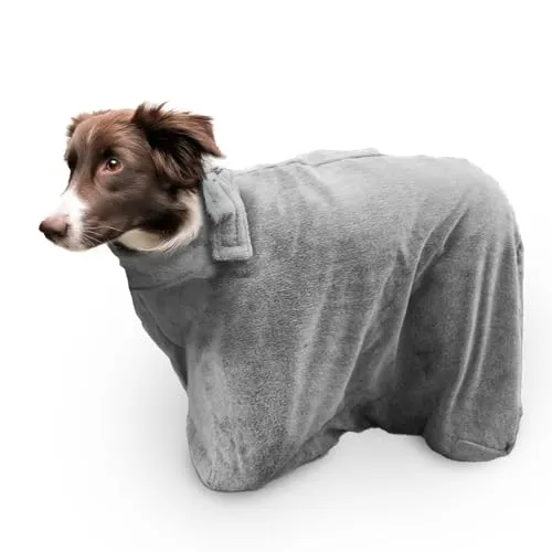 Royal Dry Doggybag von Royal Dry