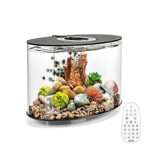 biOrb Loop 15 MCR schwarz in schwarz von biOrb