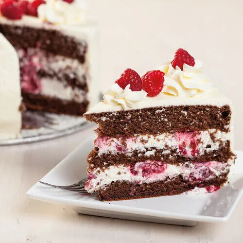 FunCakes Mix für Schoko Biskuit 1kg