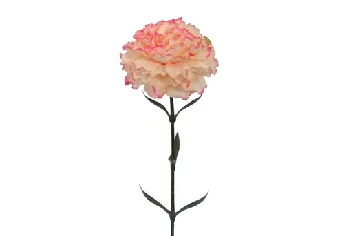 Kunstblume Kunstblume NELKE ca 67cm. Künstliche Nelken, Dianthus., Gasper, Höhe 67.00 cm