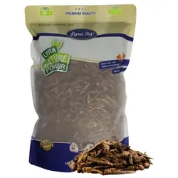 Lyra Pet® Heuschrecken getrocknet 1 kg - Vogelfutter: Hochwertige, proteinreiche getrocknete Heuschrecken für Vögel, Nager, Fische und Reptilien – eine nachhaltige und unkomplizierte Futterquelle, die den natürlichen Jagdinstinkt anspricht.