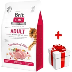 Brit Katzenfutter von Brit