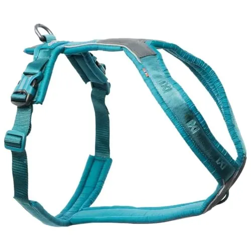 Non-stop dogwear Line Harness 5.0 - Ergonomisches Geschirr für Hunde - Vielseitiges Fähr- und Alltagsgeschirr in Teal, ideal für Wandern und Fährtenarbeit. Mit mehreren Befestigungspunkten und 3M reflektierenden Details für optimale Sichtbarkeit.