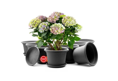BigDean Blumentopf 8 Stück Pflanzkübel mit Untersetzer rund ø 20 cm Anthrazit (Set, 8 St., Pflanztopf), Zeitloses Design, Mit Untersetzer, Hochwertiges Material, Wetterfest
