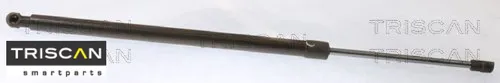 Triscan Gasfeder, Koffer-/Laderaum 8710 50266